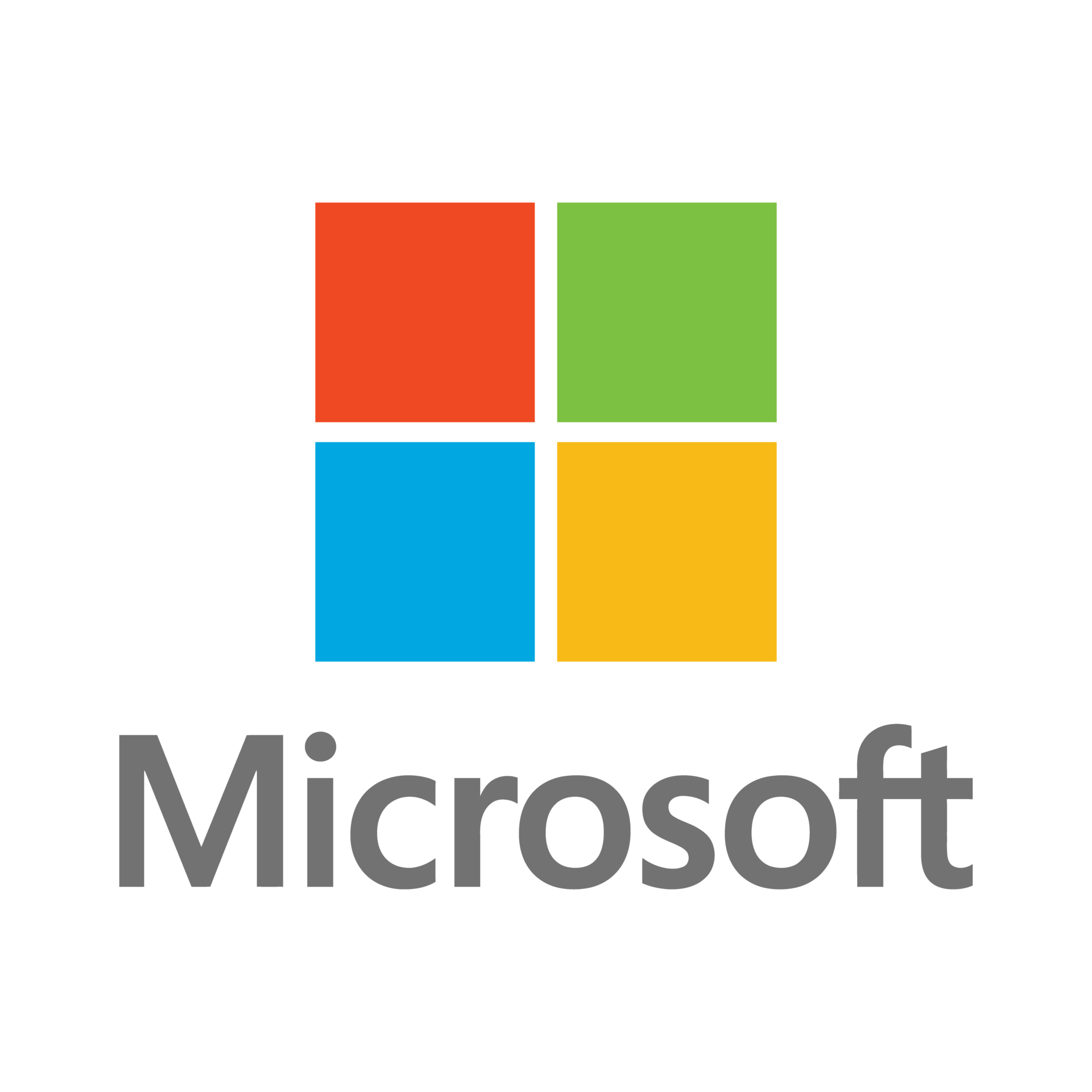Microsoft Partner